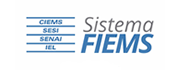 Sistema FIEMS